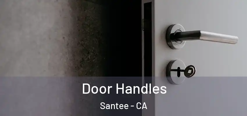 Door Handles Santee - CA