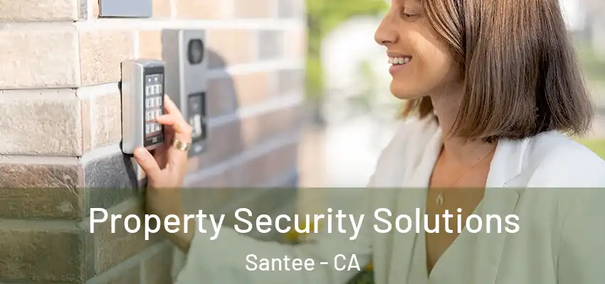 Property Security Solutions Santee - CA